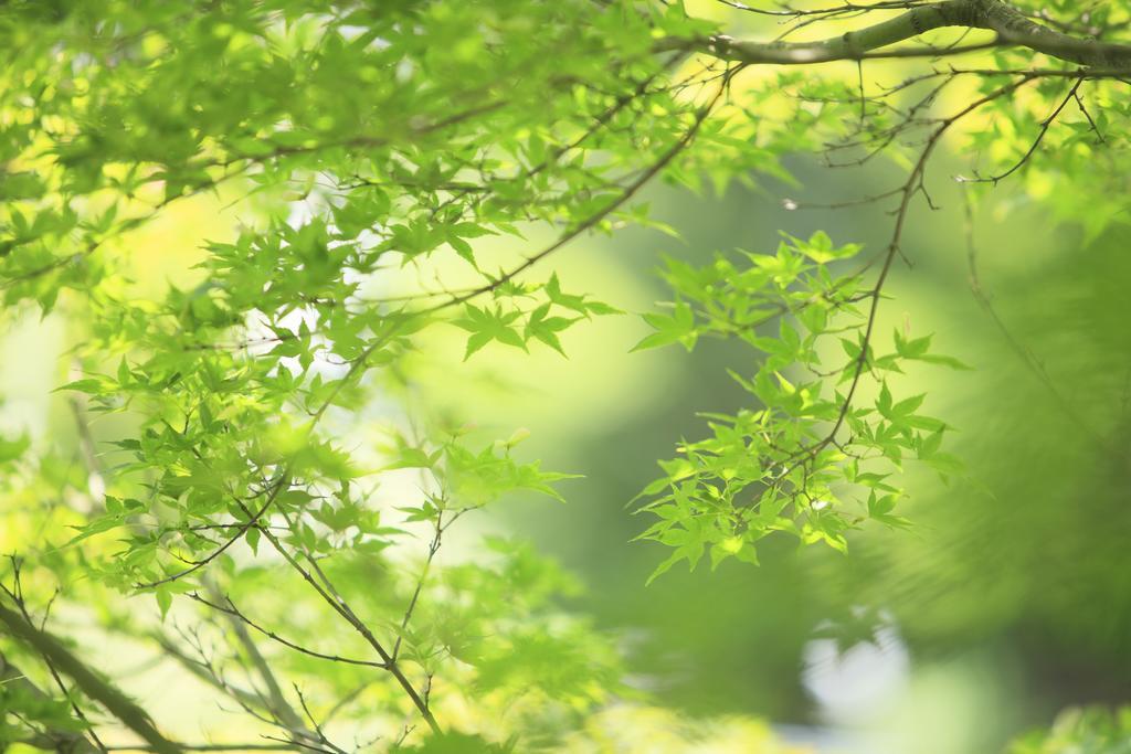 ホテル 鴬宿温泉 長栄館 雫石町 エクステリア 写真